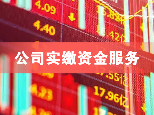 界首公司实缴资金服务
