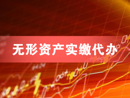 界首无形资产实缴资本代办