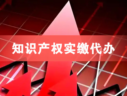 界首知识产权实缴资本代办